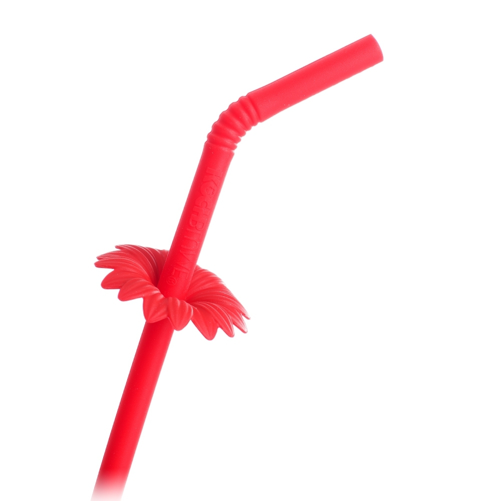 Kochblume - Drinking straw set with brush