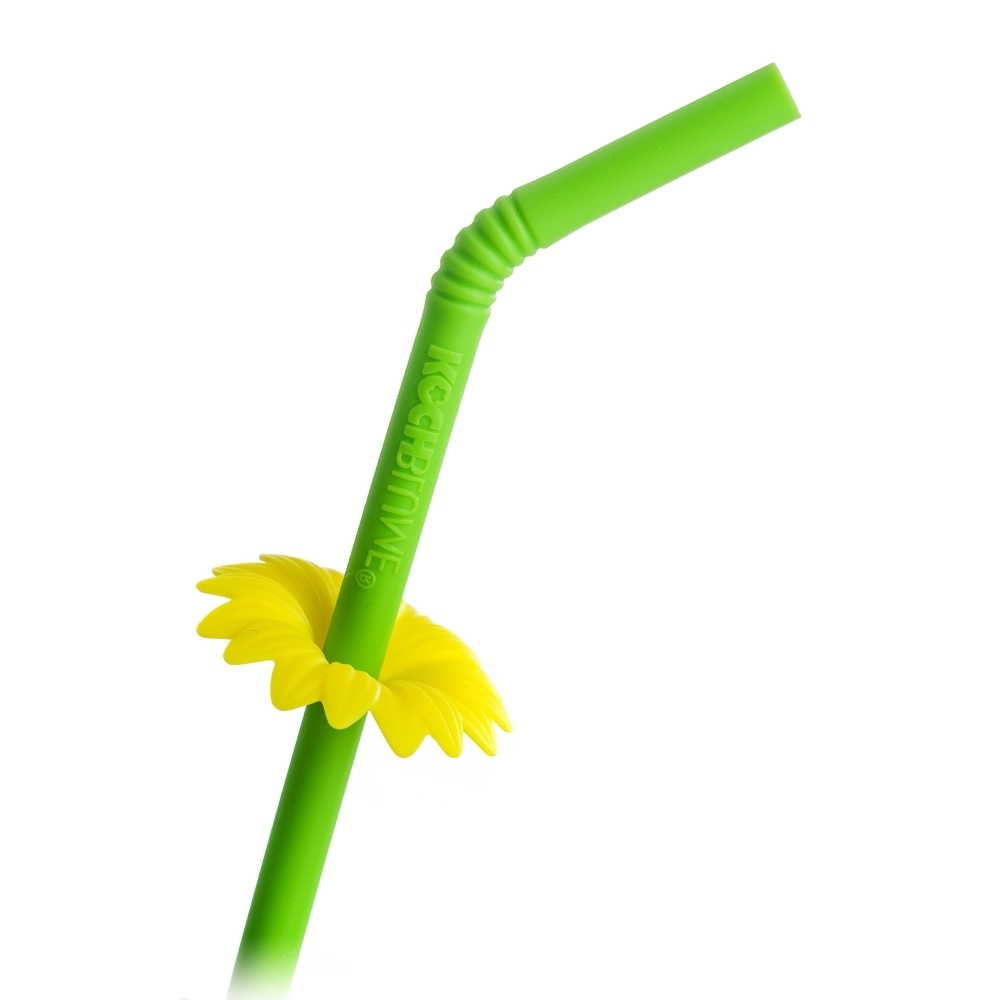Kochblume - Trinkhalm Set mit Bürste